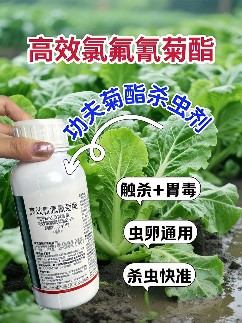 韶关代生中心:农药对供卵代生妈妈的危害